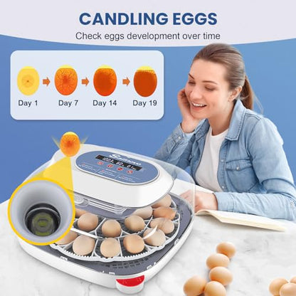 Sailnovo 24 Eggs Incubator for Chicken Eggs with 4 Modes, 360° View Incubator with Automatic Egg Turning and Temperature Control Humidity Display, Digital Incubator for Chicken Quail Duck(Sky Blue)