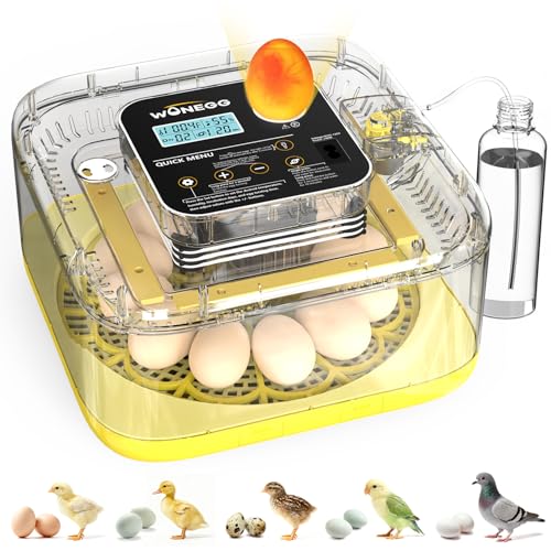 Incubator for Hatching Eggs, 12 Eggs Incubator with Automatic Egg Turning, Temperature & Humidity Control, LED Egg Candler, Incubation Days Display, for Chicken, Duck, Quail, Parrot Bird Eggs - color: Yellow