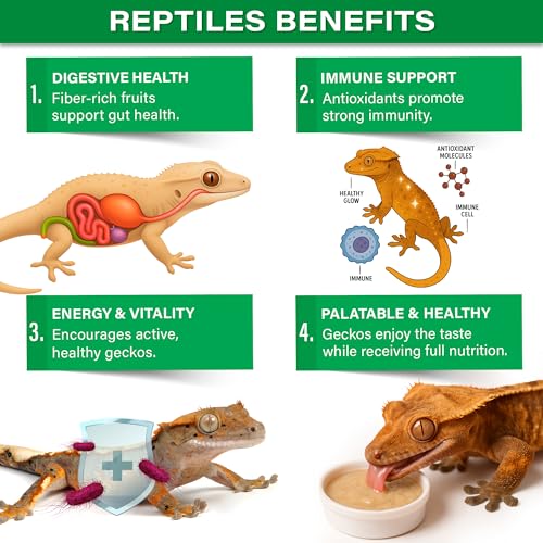 Gargeer 'Picky Geck' Rainforest Mist - Premium Crested Gecko Food | Immune & Digestion Support with Banana, Papaya, Fig & Blueberry | No Fillers - Only Premium Ingredients | 2oz | Made in USA - size: 2 Ounce (Pack of 1)