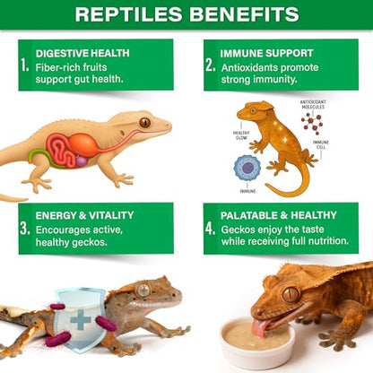 Gargeer 'Picky Geck' Rainforest Mist - Premium Crested Gecko Food | Immune & Digestion Support with Banana, Papaya, Fig & Blueberry | No Fillers - Only Premium Ingredients | 2oz | Made in USA - size: 2 Ounce (Pack of 1)
