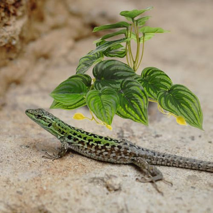 Artificial Reptile Terrarium Plant with Water-Soluble Resin Leaves, Fake Fish Tank Decor for Lizard Box and Amphibian Habitat, Simulation Monstera Leaf Ornament for Turtle Tank