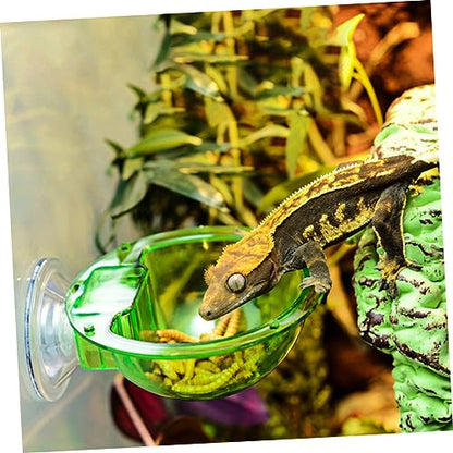 balacoo 4pcs Reptile Feeder Bowl with Cup Dragon Beard Basin for Lizard Gecko Escape Dish for Easy Feeding Design for