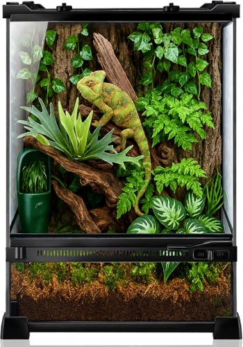 Reptile Terrarium 10"x10"x14", Full Glass Tank Enclosure for Small Reptiles, Geckos, Frogs, Lizards, Snakes, Spiders, Turtles, Vertical Rainforest Habitat - size: 10" x 10" x 14"