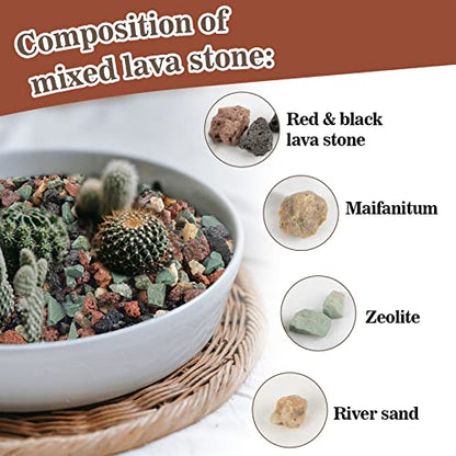 Sukh 1LB Horticultural Succulent Granule Soil - Succulent Rocks Bonsai Mix Lava Rocks Cactus Soil Potting Mix Amendment (Pack of 2) - size: 1LB (Pack of 2)