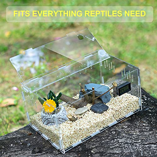 BETAZOOER Reptile Terrarium Breeding Tank Acrylic Reptile Feeding Box with Temperature Hygrometer (11.4"x7.7"x5.9") - size: Small