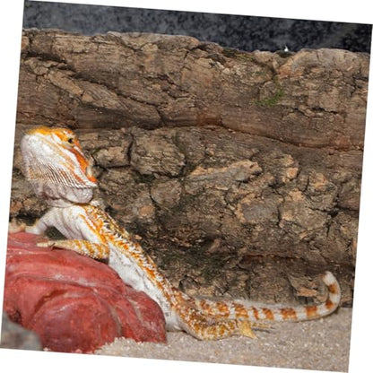 Sosoport 3pcs Reptile Bark Backdrop for Fish Tank Terrarium Background and Reusable Wall Decor for Amphibians and Reptiles