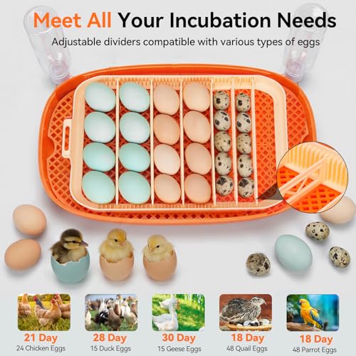 Incubators for Hatching Eggs, 24 Egg Incubator, Automatic Egg Turner with Humidity Control & Digital Temperature, Hatch Day, Auto Water Refill, 360°Viewing for Chicken, Duck, Quail, Duck, Goose