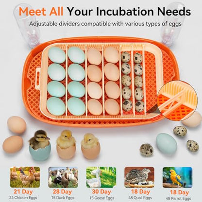 Incubators for Hatching Eggs, 24 Egg Incubator, Automatic Egg Turner with Humidity Control & Digital Temperature, Hatch Day, Auto Water Refill, 360°Viewing for Chicken, Duck, Quail, Duck, Goose