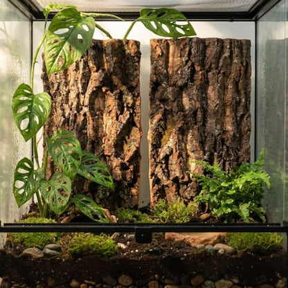 UPKOCH 2PCS Natural Cork Bark Terrarium Background Reptile Climbing Flats Tank Decor Hide for Bearded Dragon Crested Gecko Snake
