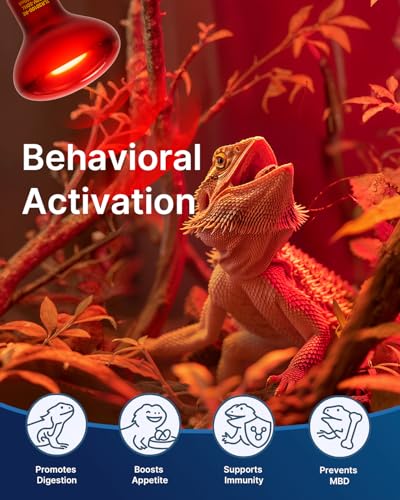 FLSNT 2 Pack Reptile Red Heat Lamp Bulbs,100W Infrared Basking Spot Light for Turtles, Leopard Gecko, Ball Python, Bearded Dragon, Chicken - color: Infrared Heat Lamp