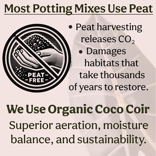 Craft Organic Houseplant Potting Mix, Elite House Plant Soil, Chunky, Well Draining Potting Soil for All Indoor Plants, Tropical Plants & Flowers, Sustainable & Peat Free, Less Prone to Gnats, 2QT - size: 2 quarts
