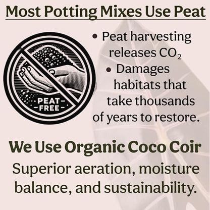 Craft Houseplant Potting Mix, Elite House Plant Soil, Chunky, Well Draining Potting Soil for Indoor Plants, Tropical Plants & Potted Plants, Sustainable & Peat Free, Less Prone to Gnats 4qt - size: 4 quarts