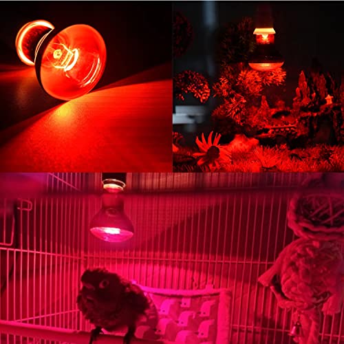 Aiicioo Reptile Red Night Light Bulb - 150W Reptile Heat Lamp Bulb Infrared Basking Spot Lamp for Bearded Dragon Lizard Turtle Hermit Crab Leopard Gecko Snake Chameleon Tank - color: ['Red'], size: ['150W']