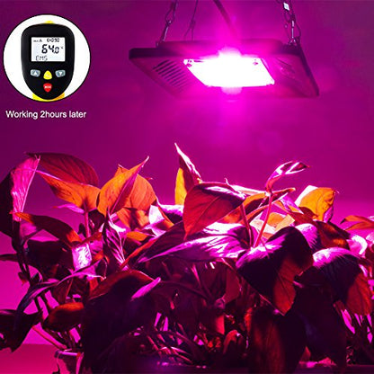 Full Spectrum LED Grow Lights for Indoor Plants, CANAGROW Waterproof COB Outdoor Grow Light, Plant Growing Lamps Refugium Light for Saltwater Aquarium, Heating Lamps for Plants Seeding, Veg, Blooming - size: 1 Bulb Pink - 100 W