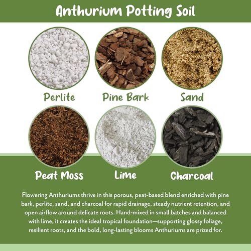 Soil Sunrise Anthurium Plant Potting Soil Mix (4 Quarts) Indoor Houseplant Custom Blend for Flowering Anthuriums - size: 4 Quarts