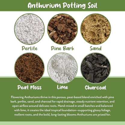 Soil Sunrise Anthurium Plant Potting Soil Mix (4 Quarts) Indoor Houseplant Custom Blend for Flowering Anthuriums - size: 4 Quarts