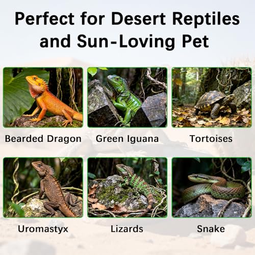 T5 10.0 UVB Reptile Light Fixture Combo Kit, 24W High Output UVA UVB Light with Upgraded Wider Alloy Reflector for Bearded Dragons Lizards Tortoises and Other Desert or Tropical Reptiles (22.7Inch) - size: 22.7Inch