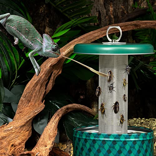 Chameleon Feeding Bowl,Hookable Lizard Feeder with Metal Mesh Column for Prey to Climb and Move,Suitable for Lizard, Iguana, Gecko,Bearded Dragon - color: Green