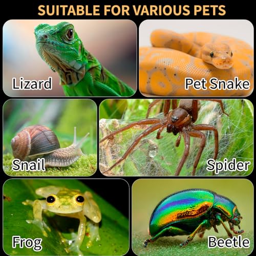Acrylic Reptile Terrarium Easy Assembly, 360° Clear & Keep Pet Secure Design for Jumping Spiders, Tarantulas, Geckos Scratch-Resistant Large Ventilated Habitat Terrarium for Arachnids 9.8*5.9*5.9in - size: Medium-9.8*5.9*5.9in