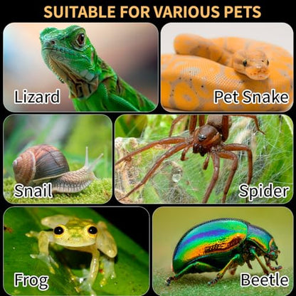 Acrylic Reptile Terrarium Easy Assembly, 360° Clear & Keep Pet Secure Design for Jumping Spiders, Tarantulas, Geckos Scratch-Resistant Large Ventilated Habitat Terrarium for Arachnids 9.8*5.9*5.9in - size: Medium-9.8*5.9*5.9in