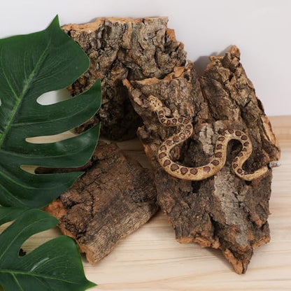 Housoutil Reptile Cork Bark Decor, 4pcs Natural Wood Tree Bark Reptile Hides, Small Cork Flats Bearded Dragon Tank Accessories for Turtles, Lizards, Bearded Dragons, Chameleons, Spider, Snake