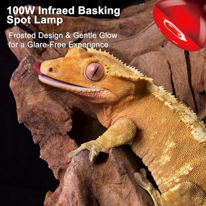 100W Infrared Heat Lamp Bulb, 2-Pack Red Heat Emitter for Reptile & Amphibian Basking – Perfect for Bearded Dragon, Lizard, Turtle, Snake - color: Red