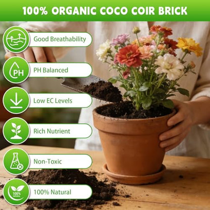 Coco Coir Bricks - Compressed Coconut Fiber Substrate for Plants, Gardening, Potting Mix. Low EC & Balanced pH Natural Growth Medium for Seed Starting, Herbs, and Gardening (6 PCS) - size: 6 PCS