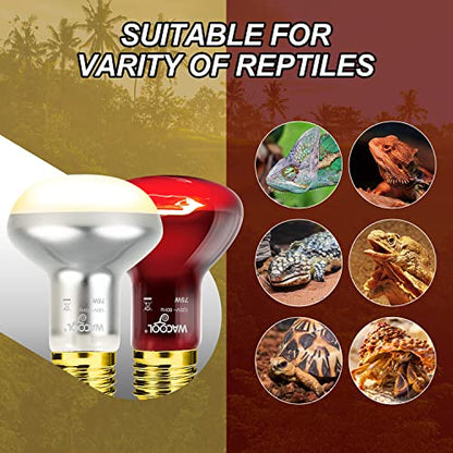 WACOOL 4Pack Reptile Heat Lamp Day & Night Kit 75W, Nature Simulated Basking Daylight & Nightlight UVA Heat Lamp Bulbs for Reptiles & Amphibians - style: 75W-4 PACK