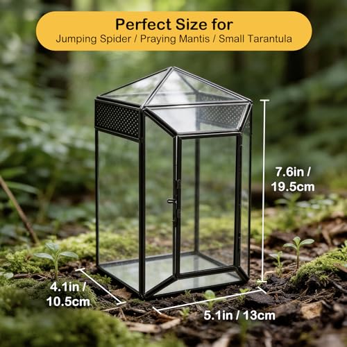 Glass Jumping Spider Enclosure Kit,Escape Proof Gothic Spider Tank | Fence Kits Terrarium Desktop Display Habitat for Jumping Spiders,Arboreal Tarantulas,Critter Keeper(No Plants)