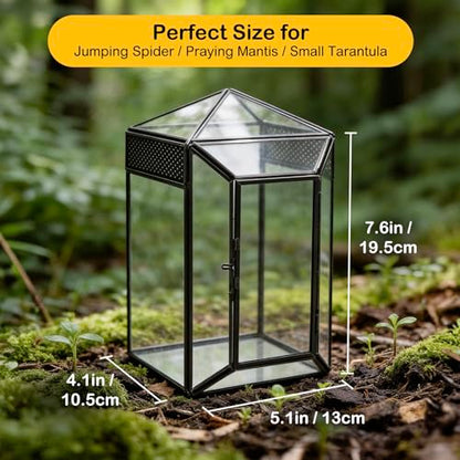 Glass Jumping Spider Enclosure Kit,Escape Proof Gothic Spider Tank | Fence Kits Terrarium Desktop Display Habitat for Jumping Spiders,Arboreal Tarantulas,Critter Keeper(No Plants)