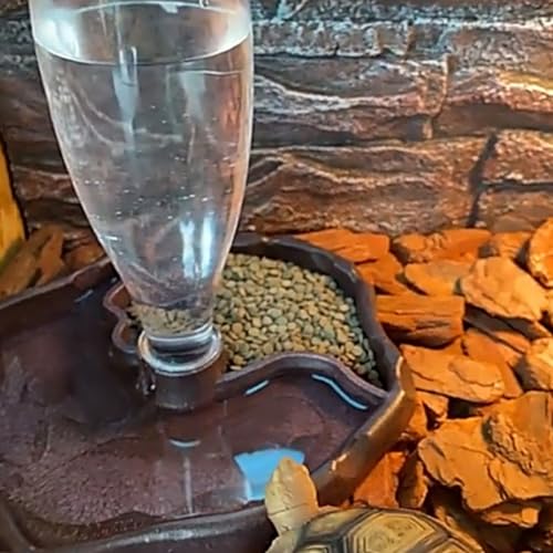 Automatic Reptile Water Bowl and Food Dish for Tortoise and Lizard, Sturdy Water Dispenser Tray with Reservoir, Lake Blue and Dark Coffee, Suitable for Terrarium Feeding