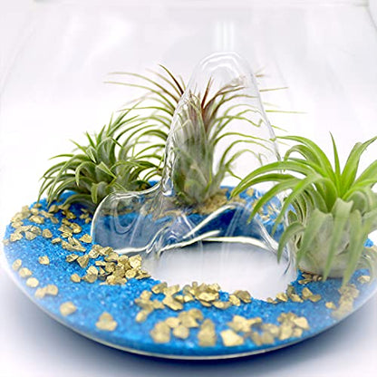6 Inch Glass Mountain Bowl DIY Terrarium Kit with Sand, Gold Flakes and 3 Live Tillandsia Air Plants for Indoor Gardens and Home Decor