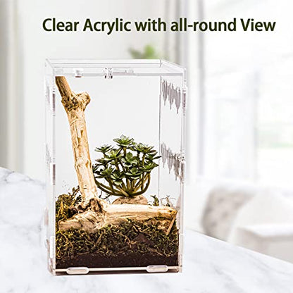 6" x 6" x 9" Acrylic Large Terrarium Enclosure for Small Reptiles, Amphibians, Spiders, Tarantula, Gecko, Snail, Praying Mantis, Millipede, Centipede, Isopods (Arboreal)