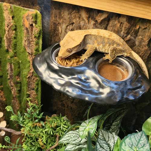 Tfwadmx Magnetic Reptile Feeder Ledge, Gecko Feeder Ledge with 4 Cups Reptile Feeding Bowl Terrarium Accessories for Geckos Lizards Chameleons Frog (Black) - color: Black