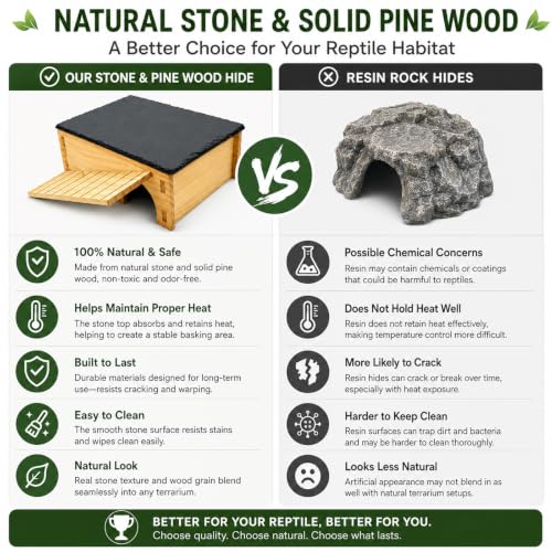Slate Rock Basking Platform with Hideout Cave for Bearded Dragons and Reptiles
