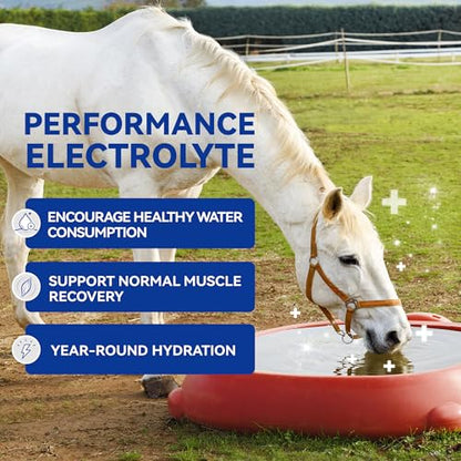 Horse Electrolyte Powder for Hydration, Replenish Sweat Loss in Hot Weather, Training & Performance Horses-Tub 840g - size: Tub