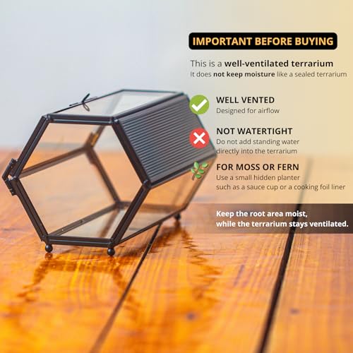 NCYP Small Glass Terrarium Enclosure with Mesh & Door for Tiny Beetle, Jumping Spiders, Hexagon Vented Glass Terrarium 6.8'' x 4.1'' x 3.6'', Indoor Decor, Black (Plants Not Include) - size: 6.8'' x 4.1'' x 3.6''