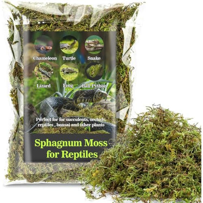 2026 New Sphagnum Moss for Reptiles - Terrarium Reptiles Moss Green Dried Peat Moss Habitat Bedding Moss for Snakes Turtle Frog Gecko and Other Reptiles Substrate (5, Ounces)