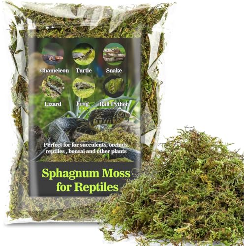 2026 New Sphagnum Moss for Reptiles - Terrarium Reptiles Moss Green Dried Peat Moss Habitat Bedding Moss for Snakes Turtle Frog Gecko and Other Reptiles Substrate (5, Ounces)