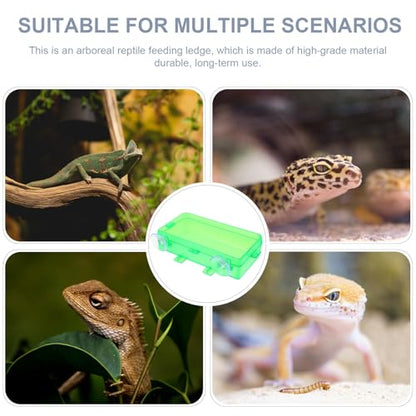 BESTonZON 2pcs Small Reptile Feeding Bowls with Suction Cups Escape-Proof Food and Water Dish for Geckos Lizards Bearded Dragons Terrarium Use