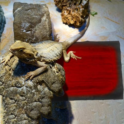 Turtle Heating Pad - USB Plug in Reptile Heating Pad Waterproof,Washable Pet Warming, Dustproof Heated Cushion for Turtle, Snake, Lizard