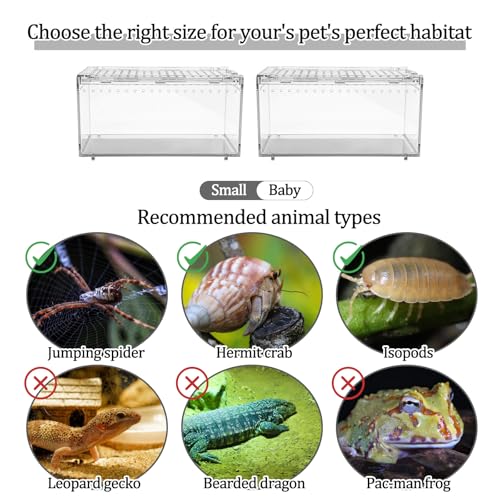2-Pack Acrylic Terrarium, Large Tarantula Enclosure with Magnetic Lid, Escape-Proof Spider Cage, Hermit Crab Tank, Reptile Habitat for Geckos, Frogs, Isopods