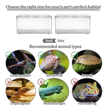 2-Pack Acrylic Terrarium, Large Tarantula Enclosure with Magnetic Lid, Escape-Proof Spider Cage, Hermit Crab Tank, Reptile Habitat for Geckos, Frogs, Isopods