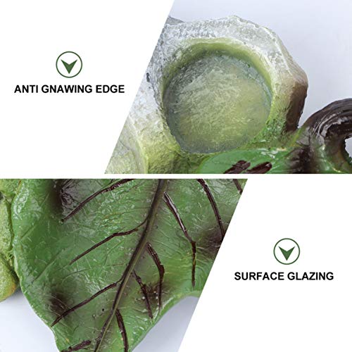 POPETPOP Reptile Water Dish: Cactus Shape Resin Reptile Feeding Dish for Bearded Dragon, Lizard, Spider