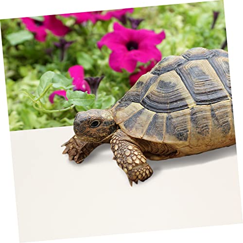 BESPORTBLE Reptile Carpet Mat for Bearded Dragon Leopard Gecko Lizard and Snake and Shape Terrarium Substrate Liner Easy to Cut Washable for Reptile Habitats