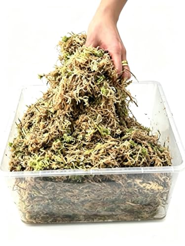 Premium Long Fiber Sphagnum Moss, 8OZ Natural Dried Moss for Reptile Terrarium Substrate, Snake, Gecko, Ball Python, Frog and Orchids