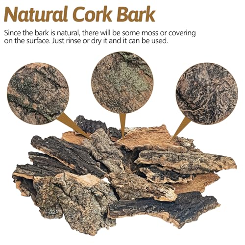 BNOSDM Reptile 16oz Cork Bark Substrate and Wooden Hideout Platform for Lizard, Gecko
