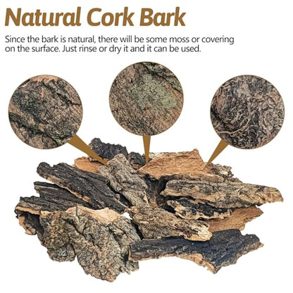 BNOSDM Reptile 16oz Cork Bark Substrate and Wooden Hideout Platform for Lizard, Gecko