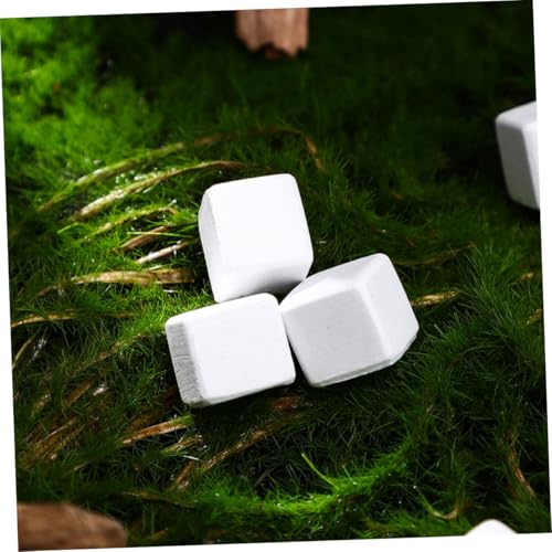 Toddmomy 30pcs Climbing Pet Calcium Block Amphibian Health Products Tortoise Lizard Chameleon Lizard Frog Chameleon Frog Reptiles Health Chameleon Reptiles Stone for Turtle