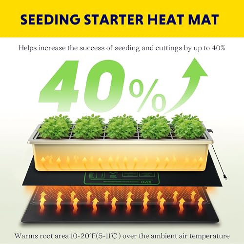 iPower Durable Seedling Heat Mat Warm 48" x 20" - 2 Pack Hydroponic Heating Pad Waterproof and A Digital Thermometer for Seed Starting Greenhouse and Germination - size: 48" x 20", style: Heat Mat*2+Thermometer*1